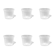 6 inch Slotted Orchid Pot (6 Pack)