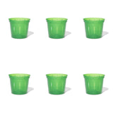 6 inch Slotted Orchid Pot (6 Pack)