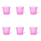6 inch Slotted Orchid Pot (6 Pack)