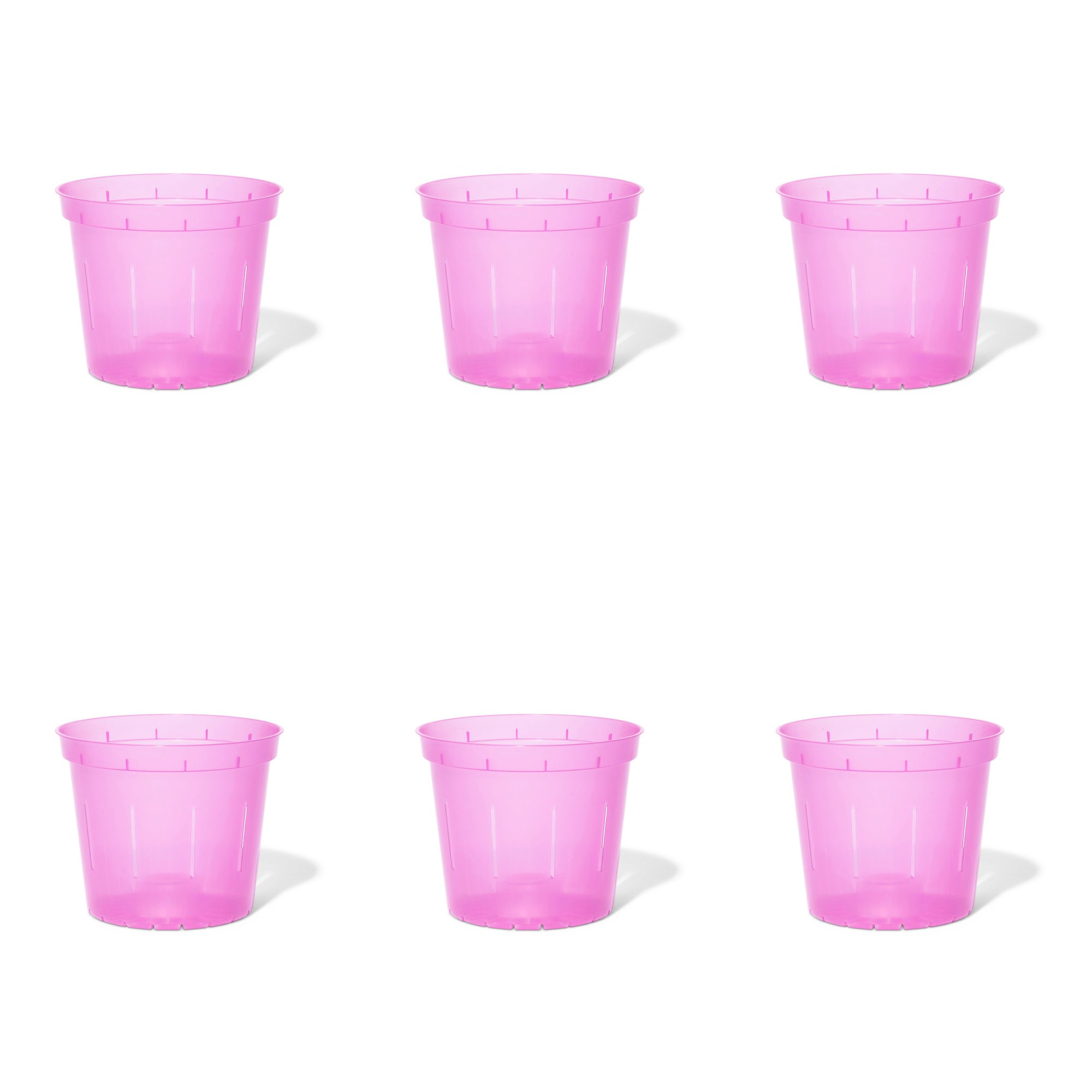 6 inch Slotted Orchid Pot (6 Pack)