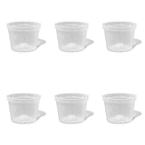 8 inch Slotted Orchid Pot (6 Pack)