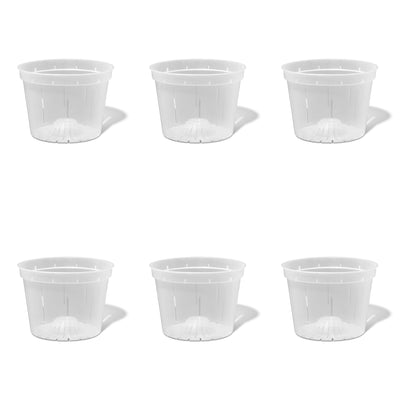 8 inch Slotted Orchid Pot (6 Pack)