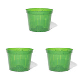 8 inch Slotted Orchid Pot (3 Pack)