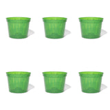 8 inch Slotted Orchid Pot (6 Pack)