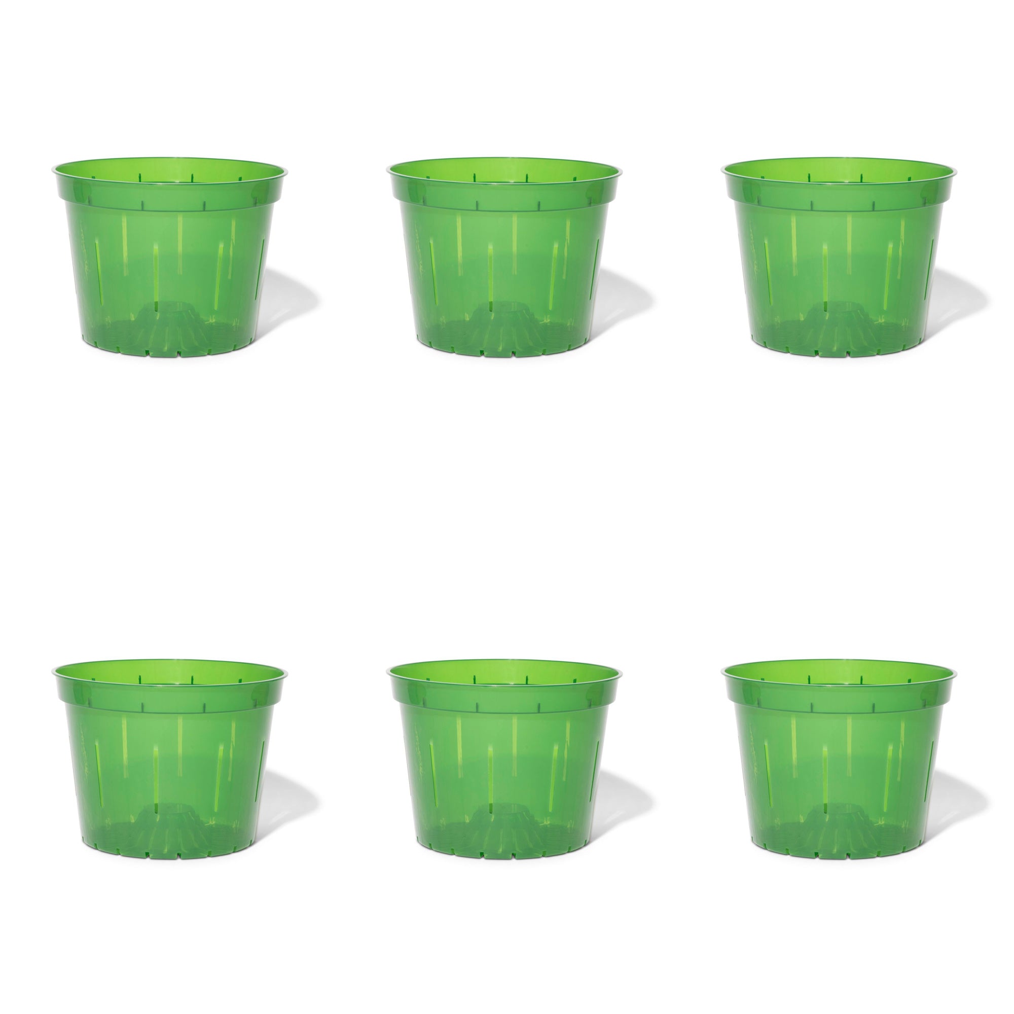 8 inch Slotted Orchid Pot (6 Pack)