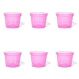 8 inch Slotted Orchid Pot (6 Pack)