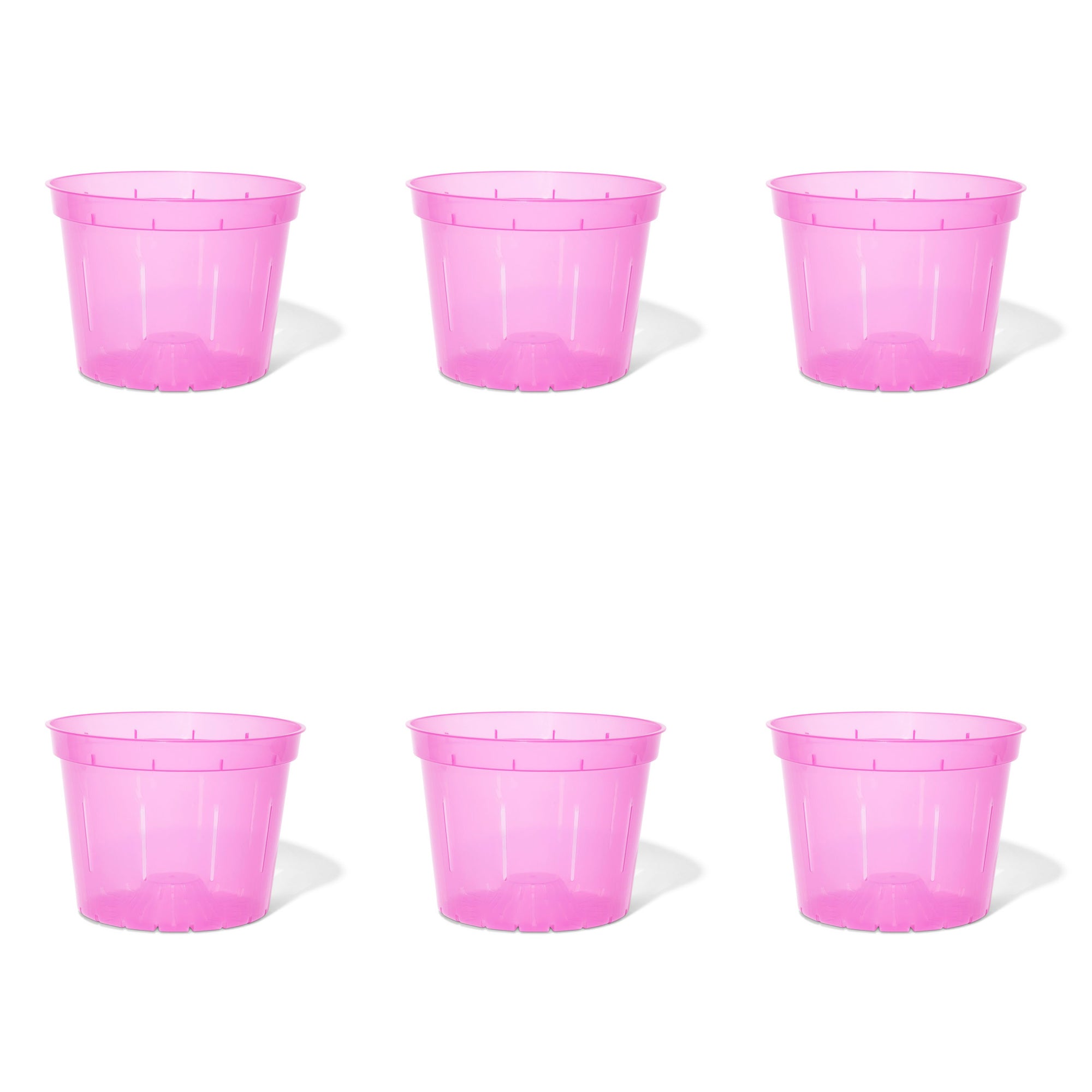 8 inch Slotted Orchid Pot (6 Pack)