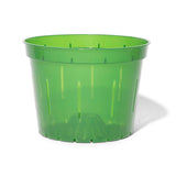 8 inch Slotted Orchid Pot (3 Pack)