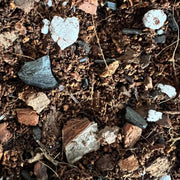 Fig and Ficus Imperial Potting Soil Mix
