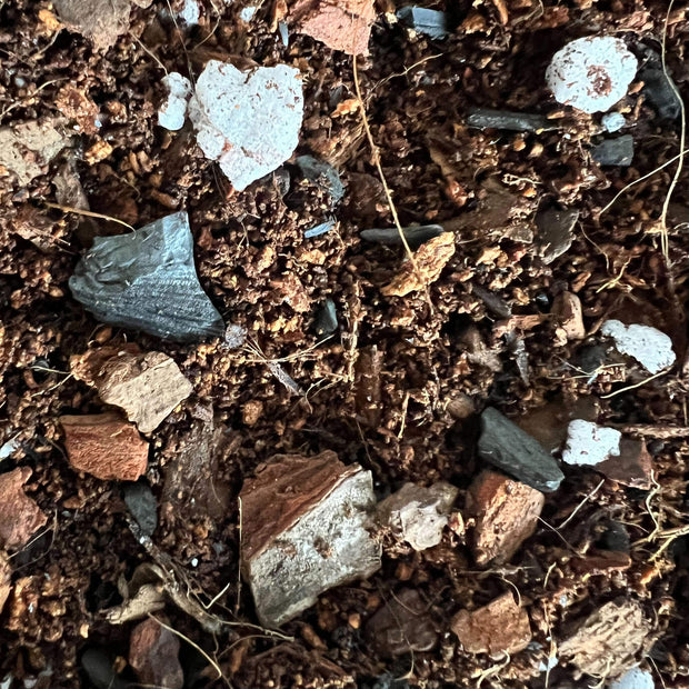 Fig and Ficus Imperial Potting Soil Mix