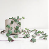 Pretty Pink String of Hearts