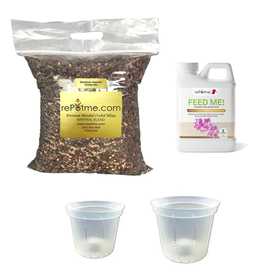 Oncidium and Seedling Orchid Starter Kit