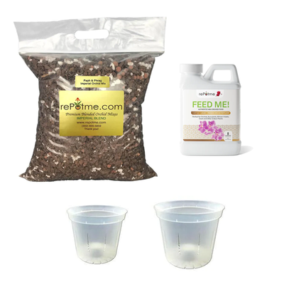 Paph and Phrag Orchid Starter Kit