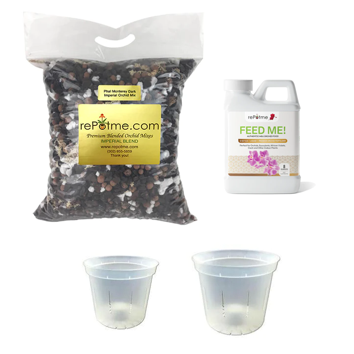 Phalaenopsis Orchid Starter Kit