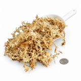 AAA New Zealand Sphagnum Moss