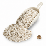 Small Sponge Rock  - Perlite