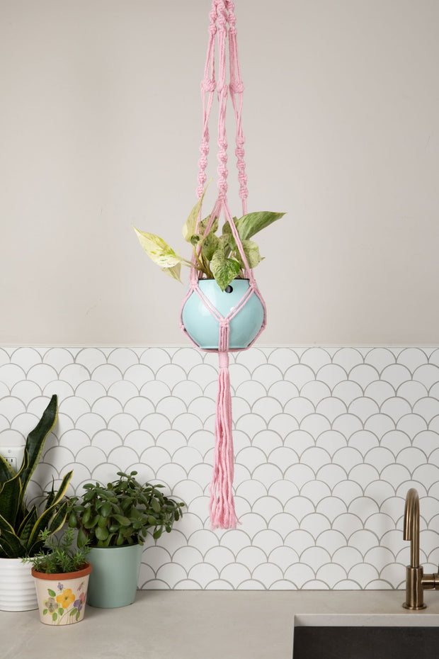 Macrame Hanger Self Watering Set - Rose Quartz + Ocean Blue