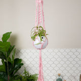 Macrame Hanger Self Watering Set - Rose Quartz + Designer White