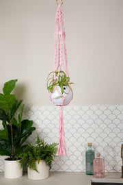 Macrame Hanger Self Watering Set - Rose Quartz + Designer White