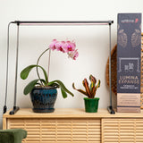 Lumina Expanse - Full Spectrum LED Grow Light