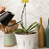 10" White Pearl Slotted Orchid Pot