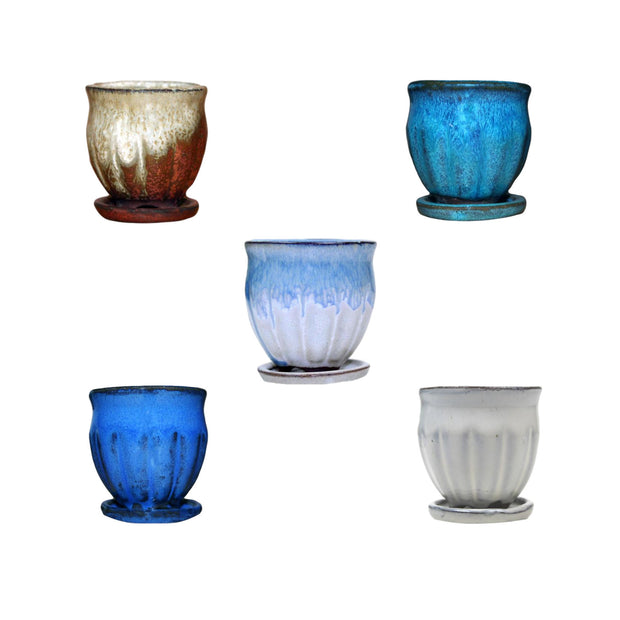 2" Amphora Vase Combo - All Colors (5 total pots)