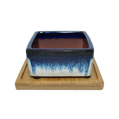 4" Cobalt Blue Over Cream Square Ceramic Succulent Pot With Decorative Bamboo Saucer