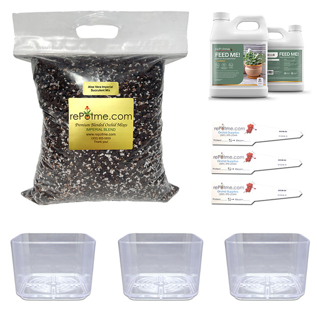 Aloe Vera Succulent Starter Kit