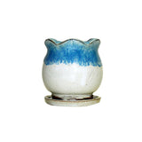 2" Ocean Mist Over White Diamond Ceramic Succulent Pot - Blooming Tulip