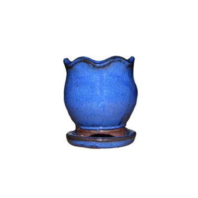 2" Midnight Blue Ceramic Succulent Pot - Blooming Tulip