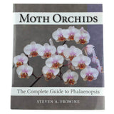 Moth Orchids
