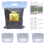 String of Pearls Succulent Starter Kit