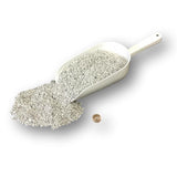 Small Pumice Rock