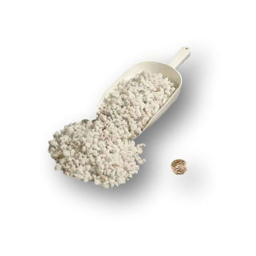 Medium Sponge Rock – rePotme