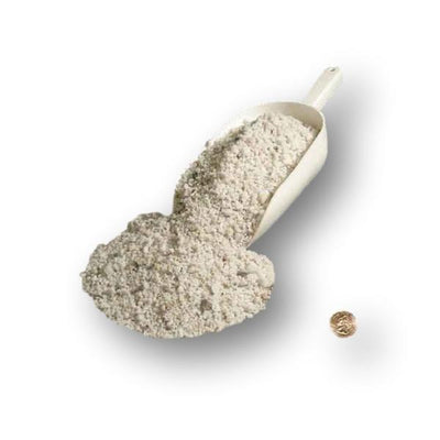 Small Sponge Rock  - Perlite