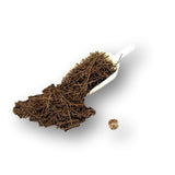Medium Tree Fern Fiber
