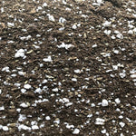 African Violet Imperial Potting Soil - Soil-Mix