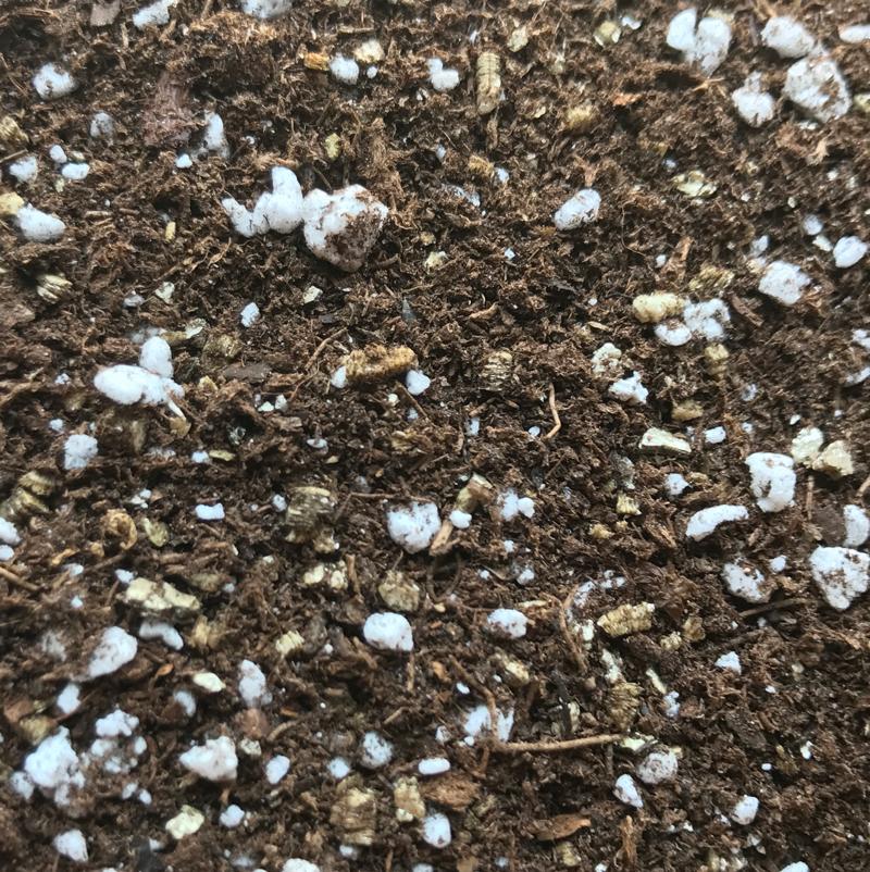 African Violet Classic Potting Soil - Soil-Mix