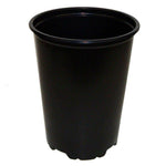 6" Black Plastic Paph Pot