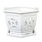 5" Vanilla Bean Hexagon Ceramic Orchid Pot