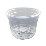 5" Crystal Clear Orchid Pot