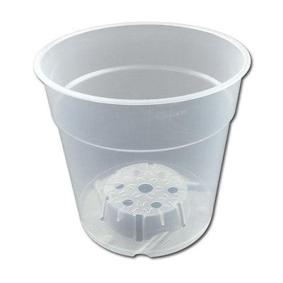 5.75" Crystal Clear Orchid Pot