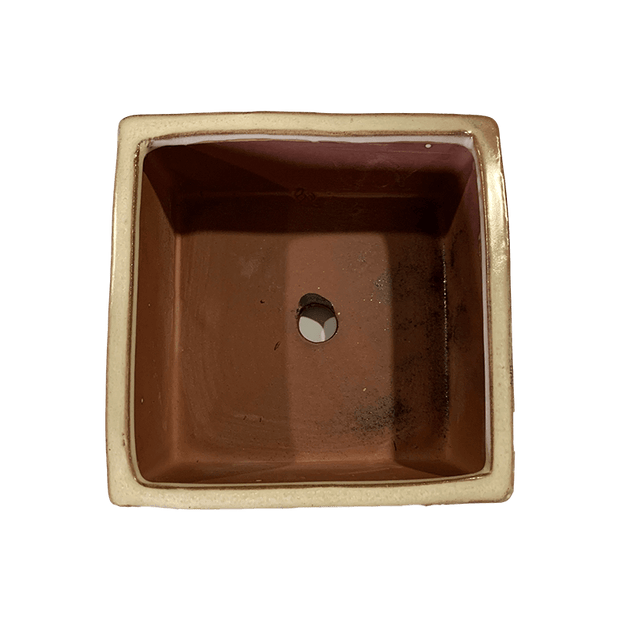 5" Honey Cream Over Copper Square Ceramic Succulent Pot With Decorative Bamboo Saucer