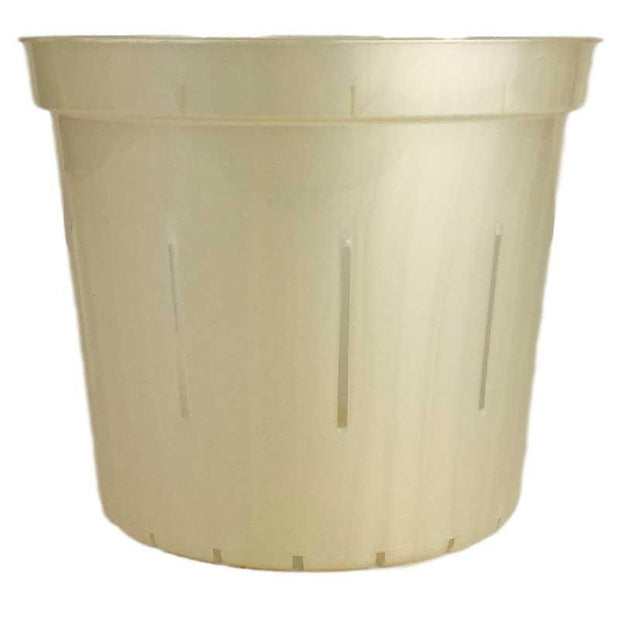 Golden Creme Slotted Violet Pot - Slot-Pots