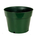 10" Green Plastic Pot