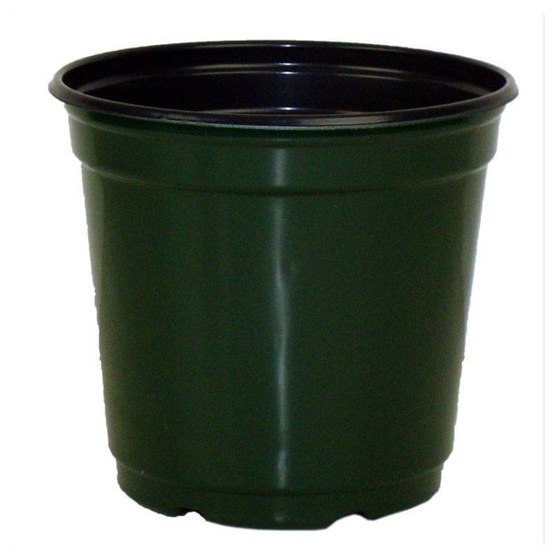 5" Taller Gloss Dark Green Flower Pot