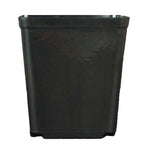 5.5" Jumbo Black Square Orchid Pot