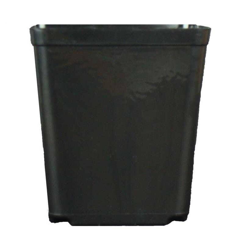 5.5" Jumbo Black Square Orchid Pot