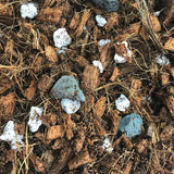 All Purpose Classic Orchid Potting Mix