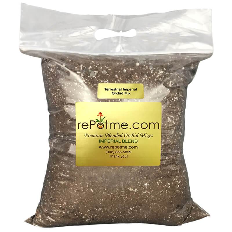 arv der George Bernard Terrestrial Imperial Orchid Mix – rePotme